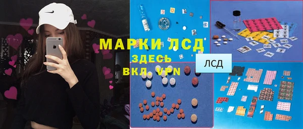 PSILOCYBIN Медвежьегорск
