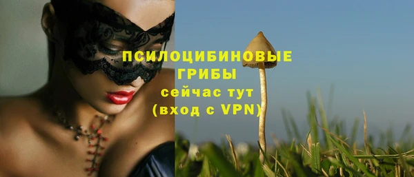 PSILOCYBIN Медвежьегорск