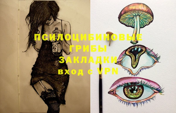 PSILOCYBIN Медвежьегорск
