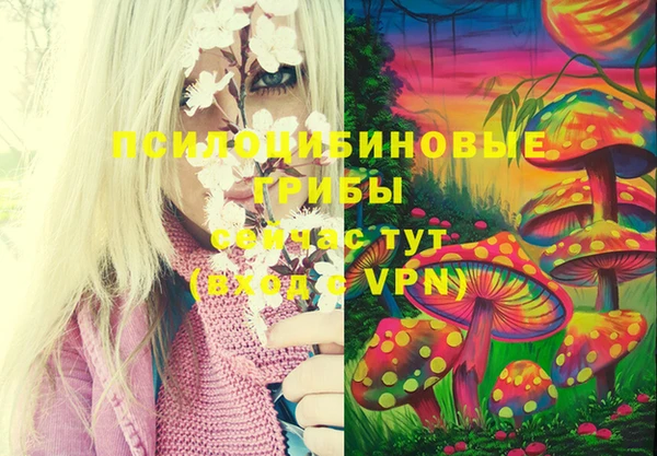 PSILOCYBIN Медвежьегорск