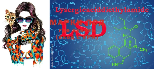 PSILOCYBIN Медвежьегорск