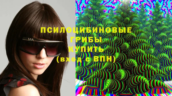 PSILOCYBIN Медвежьегорск