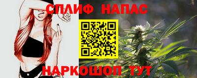 ешки Дубна