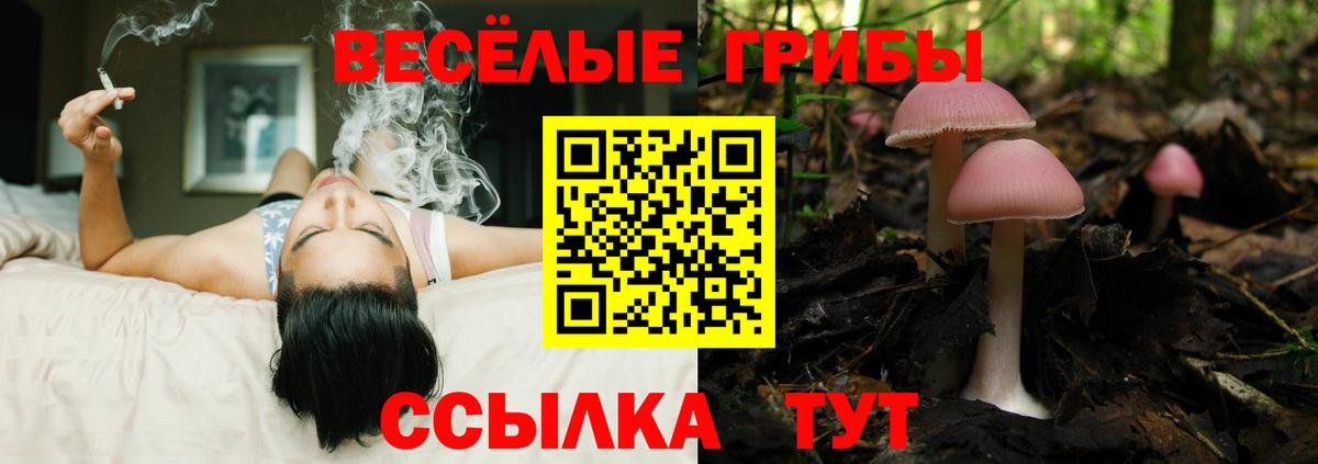 Галлюциногенные грибы ЛСД Оренбург